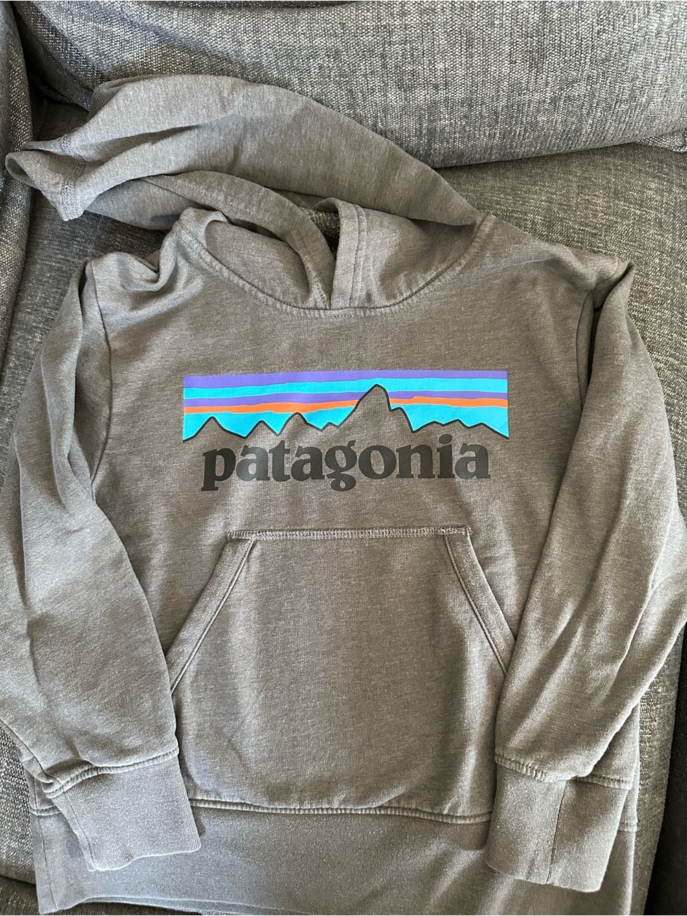 Patagonia Kids XS Gray Pullover Hoodie with Logo